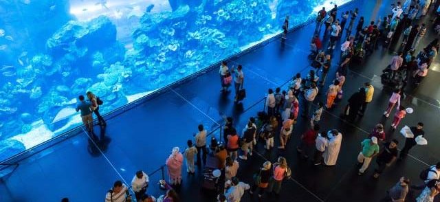 The largest aquarium in the world