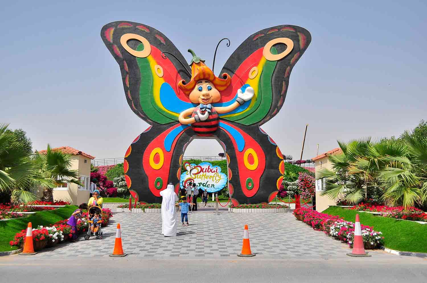 Dubai butterfly garden A complete guide to Dubai