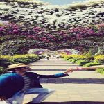 Dubai-Miracle-Garden-Proposal