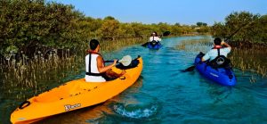 Abu Dhabis Mangroves