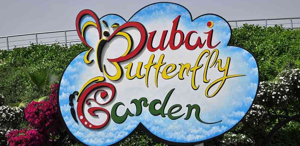 Dubai Butterfly Garden