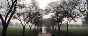 Al Safa Park