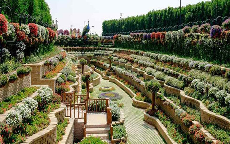 Dubai Miracle Garden