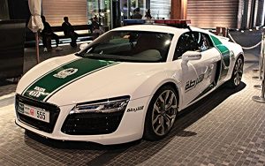 Dubai Police App Image