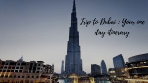 Trip to Dubai Image