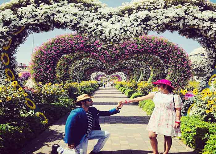 Dubai Miracle Garden Proposal
