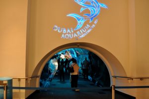 Dubai Aquarium