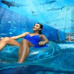 atlantis-aquaventure-fun-unlimited-marine