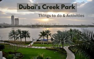 Dubai's Creek Park