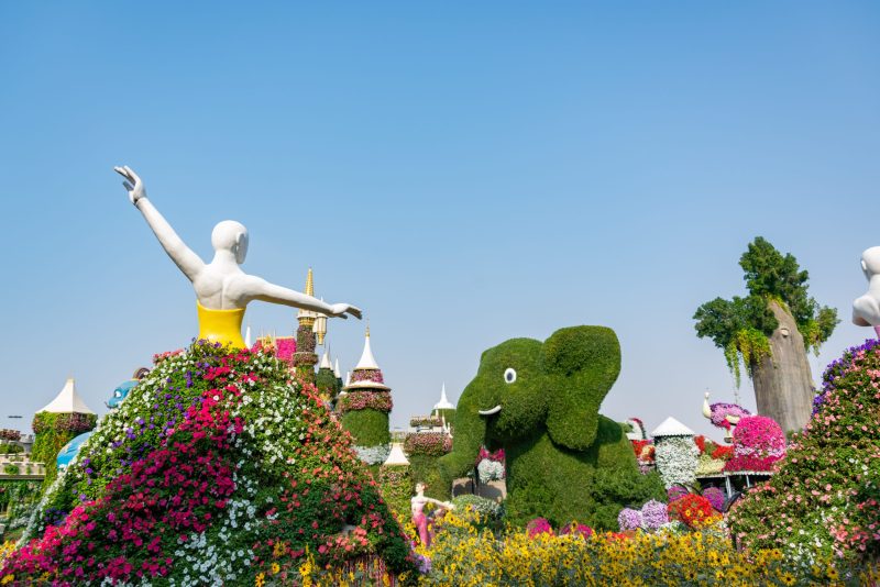 Floral Displays in Dubai Miracle Garden