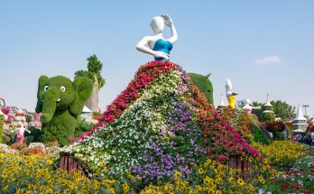 Miracle Garden