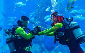 Scuba Diving